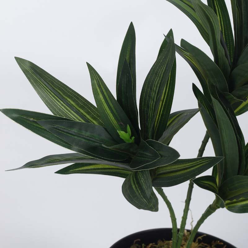 Buy Faux Lush Dracaena Reflexa Plant With Pot (Dark Green) - 1.3 Feet Artificial Plants from Vaaree