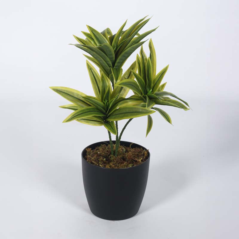 Buy Faux Lush Dracaena Reflexa Plant With Pot (Light Green) - 1.3 Feet Artificial Plants from Vaaree