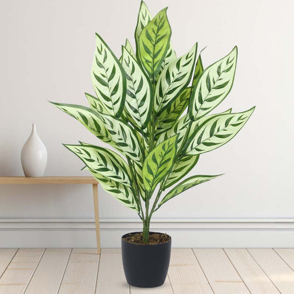 Buy Faux Lush White Dieffenbachia Plant With Pot - 2.3 Feet Artificial Plants from Vaaree