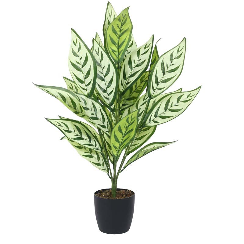 Buy Faux Lush White Dieffenbachia Plant With Pot - 2.3 Feet Artificial Plants from Vaaree