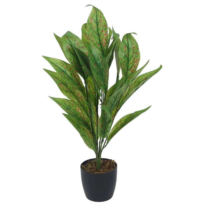 Buy Faux Lush Dieffenbachia Plant With Pot - 2.3 Feet Artificial Plants from Vaaree