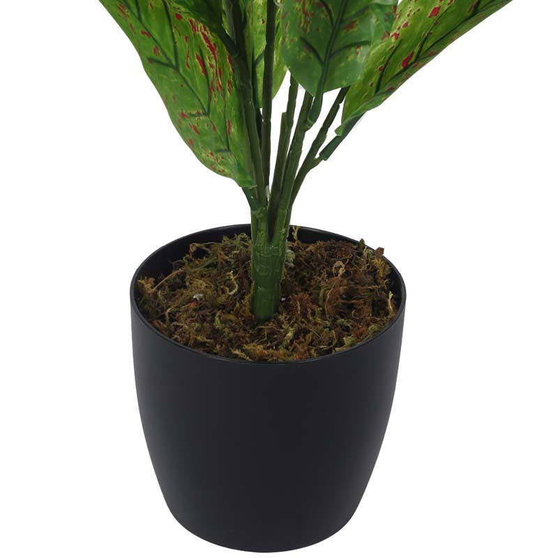 Buy Faux Lush Dieffenbachia Plant With Pot - 2.3 Feet Artificial Plants from Vaaree