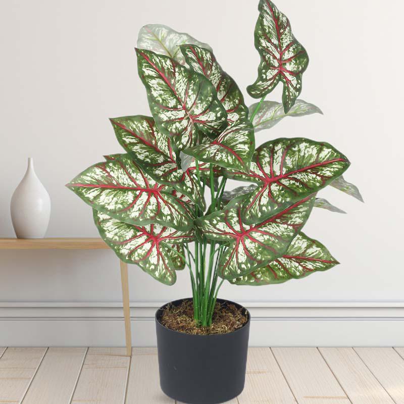 Buy Faux Lush Caladium Plant With Pot - 2.3 Feet Artificial Plants from Vaaree