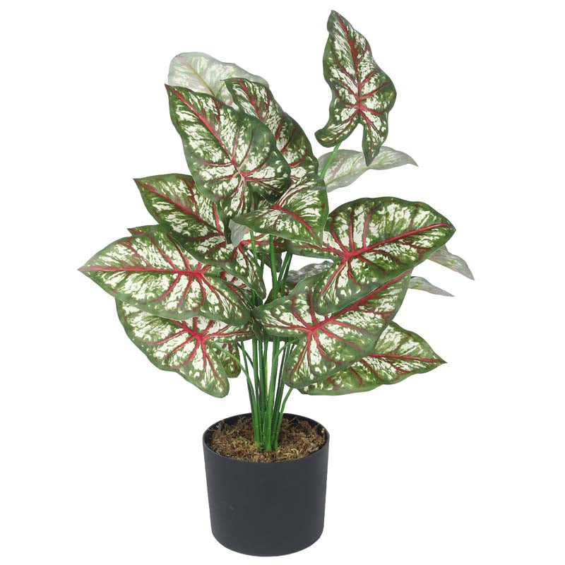 Buy Faux Lush Caladium Plant With Pot - 2.3 Feet Artificial Plants from Vaaree