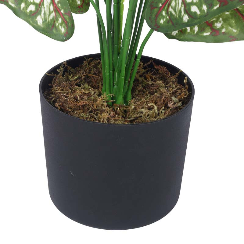 Buy Faux Lush Caladium Plant With Pot - 2.3 Feet Artificial Plants from Vaaree