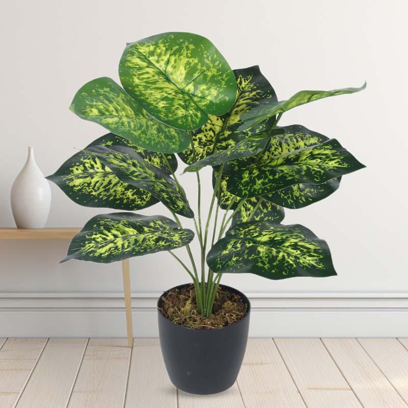 Buy Faux Lush Dieffenbachia Plant With Pot - 1.8 Feet Artificial Plants from Vaaree