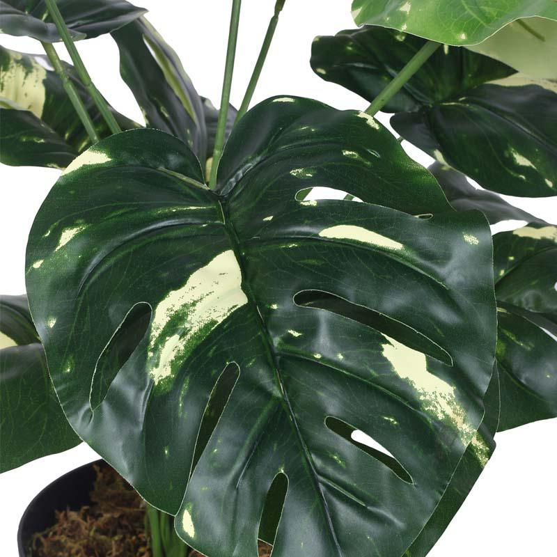 Buy Faux Lush Variegated Monstera Plant With Pot - 1.8 Feet Artificial Plants from Vaaree