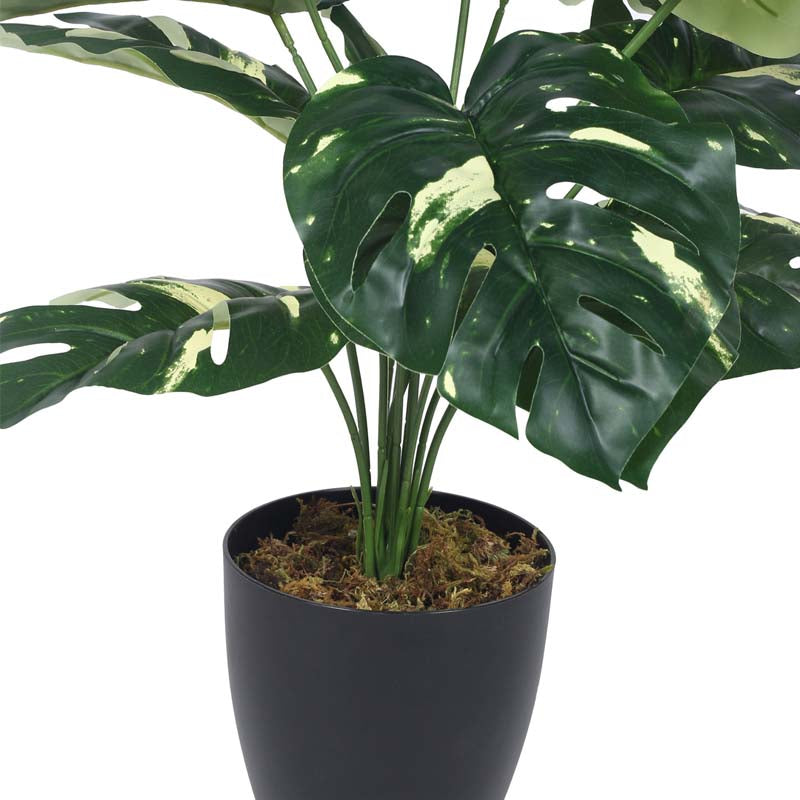 Buy Faux Lush Variegated Monstera Plant With Pot - 1.8 Feet Artificial Plants from Vaaree