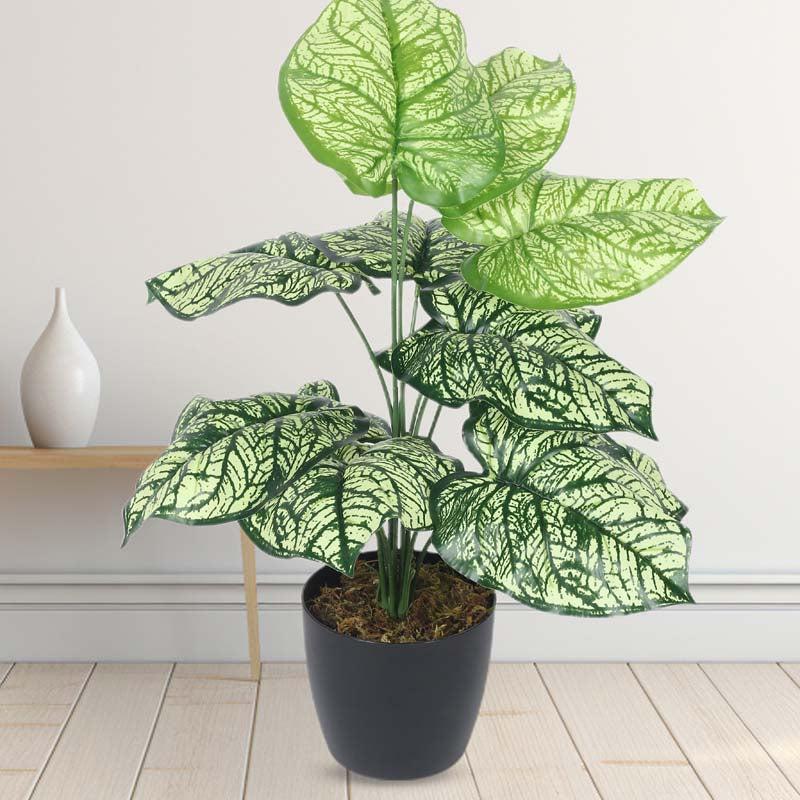 Buy Faux Lush Light Green Monstera Plant With Pot - 1.8 Feet Artificial Plants from Vaaree