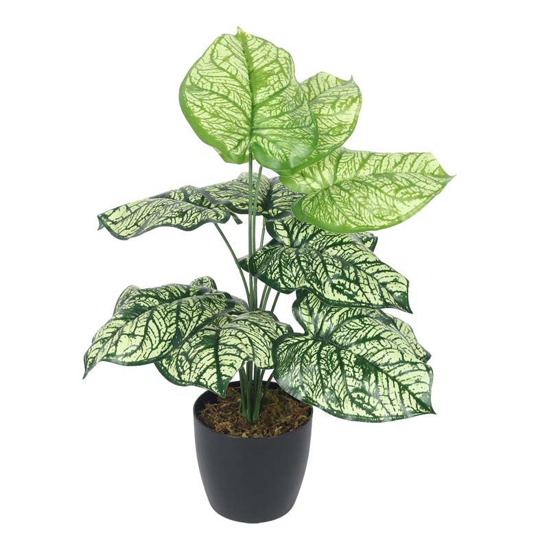 Buy Faux Lush Light Green Monstera Plant With Pot - 1.8 Feet Artificial Plants from Vaaree