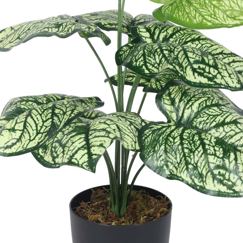 Buy Faux Lush Light Green Monstera Plant With Pot - 1.8 Feet Artificial Plants from Vaaree