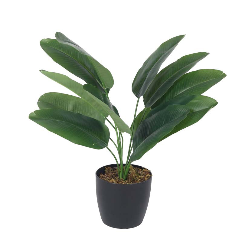 Buy Faux Lush Bird of Paradise Plant With Pot - 1.5 Feet Artificial Plants from Vaaree