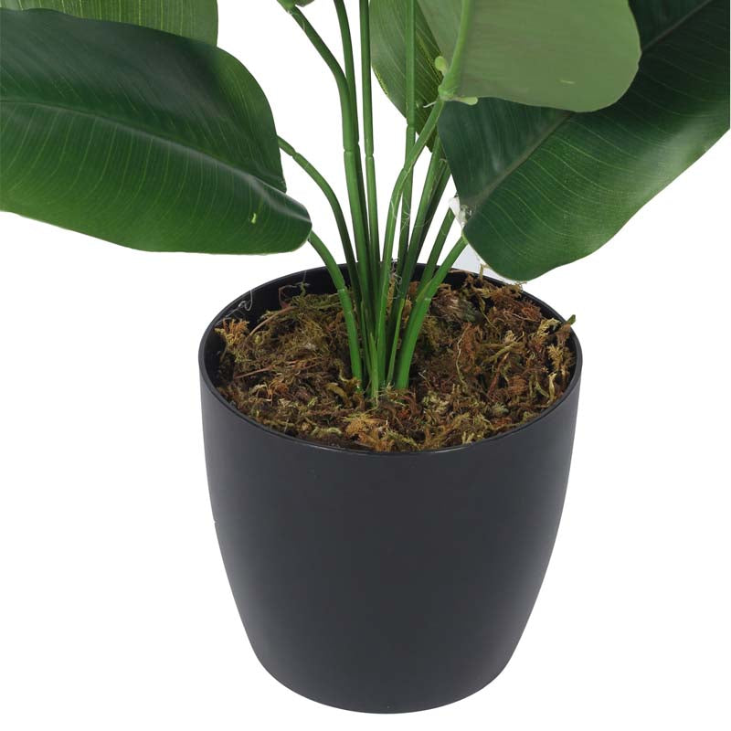 Buy Faux Lush Bird of Paradise Plant With Pot - 1.5 Feet Artificial Plants from Vaaree