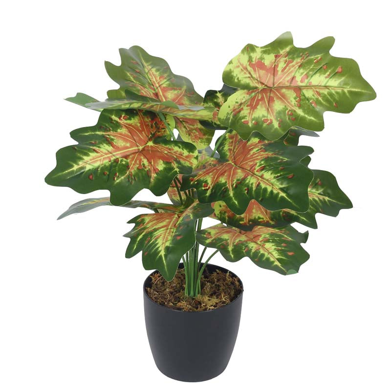 Buy Faux Lush Pink & Green Monstera Plant With Pot - 1.8 Feet Artificial Plants from Vaaree