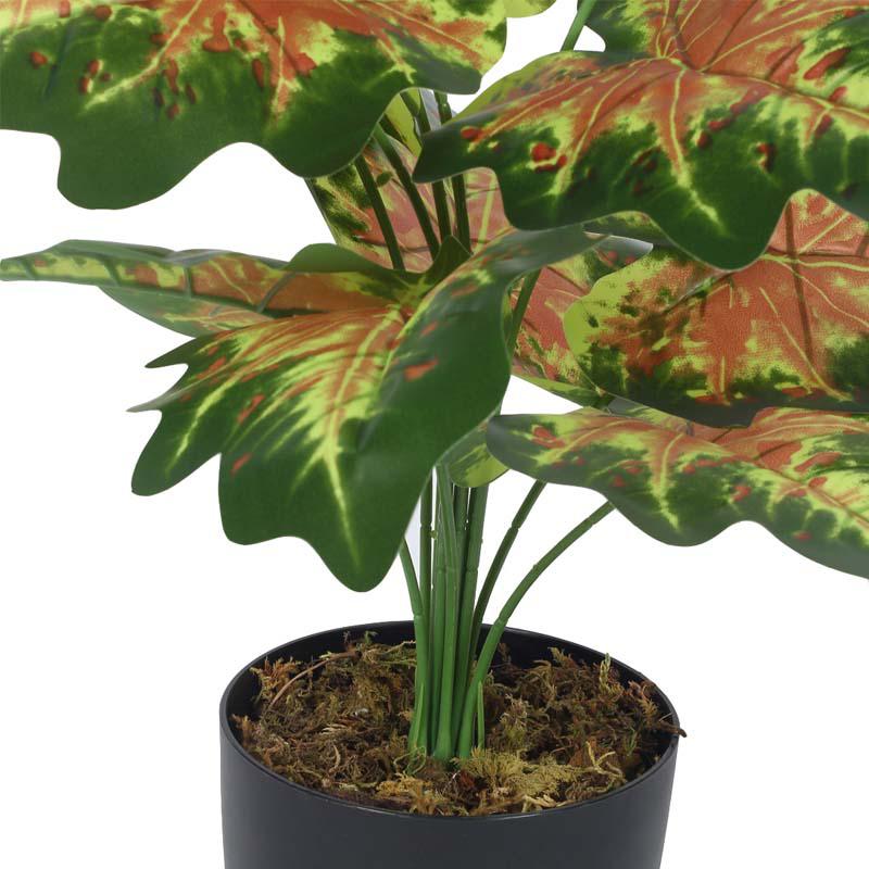 Buy Faux Lush Pink & Green Monstera Plant With Pot - 1.8 Feet Artificial Plants from Vaaree