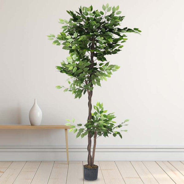 Buy Faux Lush Topiary Ficus Plant With Pot - 6 Feet Artificial Plants from Vaaree