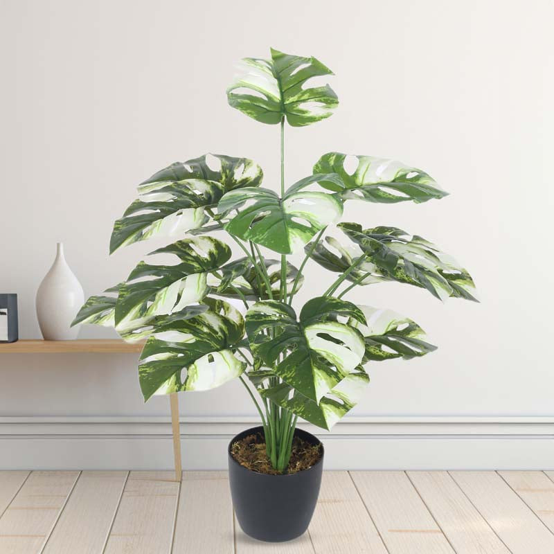 Buy Faux Lush Monstrera Plant With Pot - 2.3 Feet Artificial Plants from Vaaree