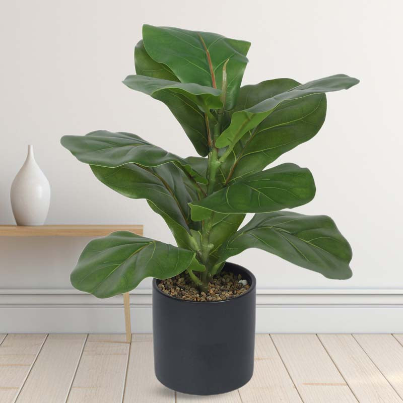 Buy Faux Lush Fiddle Leaf Fig Bonsai Plant With Pot - 1.1 Feet Artificial Plants from Vaaree