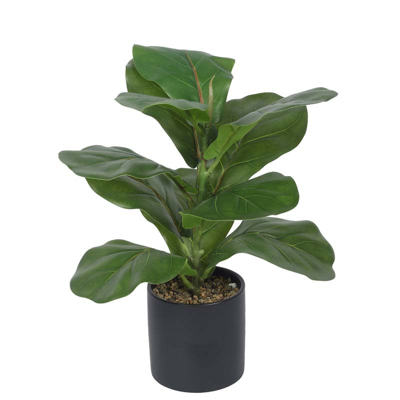 Buy Faux Lush Fiddle Leaf Fig Bonsai Plant With Pot - 1.1 Feet Artificial Plants from Vaaree