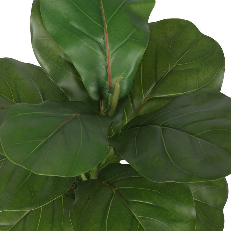 Buy Faux Lush Fiddle Leaf Fig Bonsai Plant With Pot - 1.1 Feet Artificial Plants from Vaaree