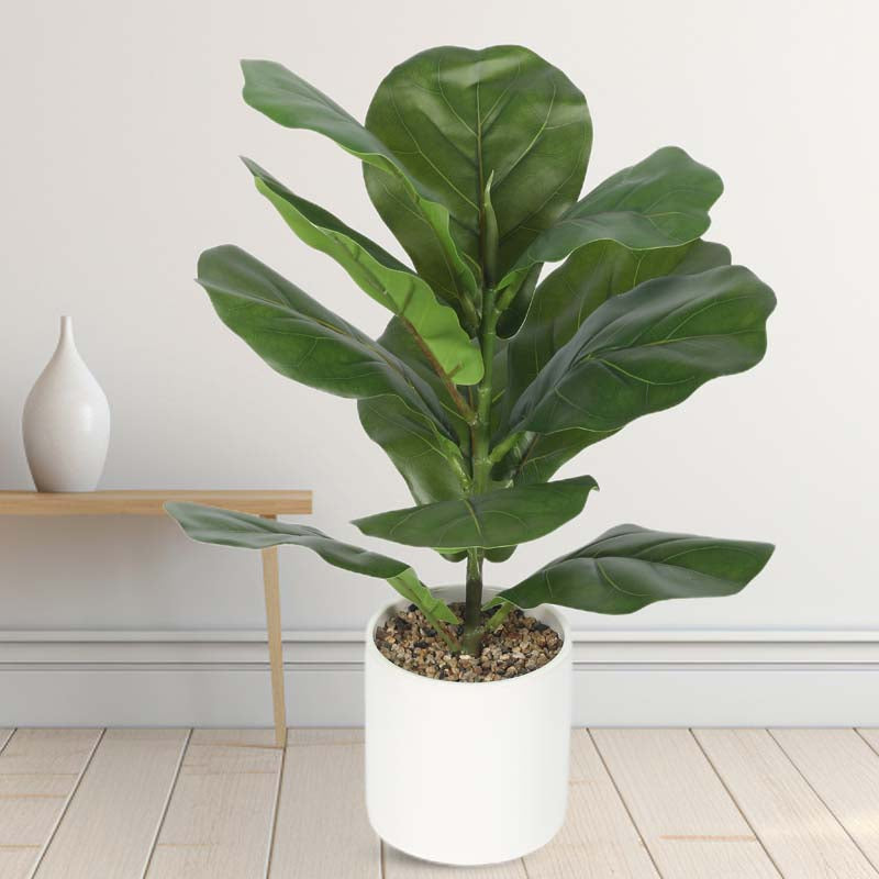 Buy Faux Lush Fiddle Leaf Fig Plant With Pot - 1.1 Feet Artificial Plants from Vaaree