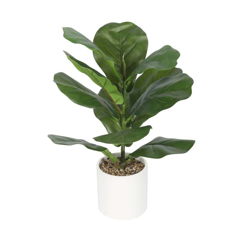 Buy Faux Lush Fiddle Leaf Fig Plant With Pot - 1.1 Feet Artificial Plants from Vaaree