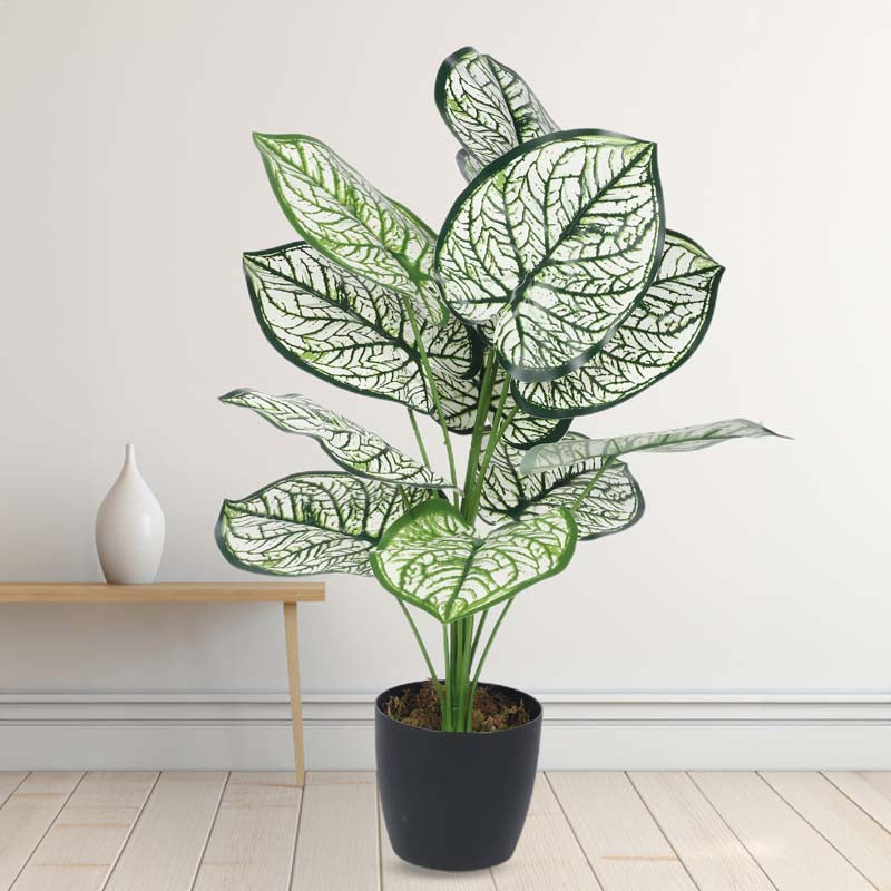 Buy Faux Lush White Dubia Monstera Plant With Pot - 1.8 Feet Artificial Plants from Vaaree