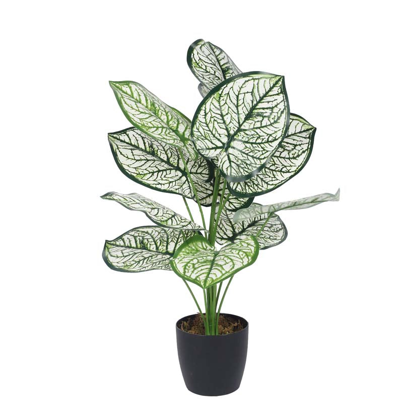 Buy Faux Lush White Dubia Monstera Plant With Pot - 1.8 Feet Artificial Plants from Vaaree