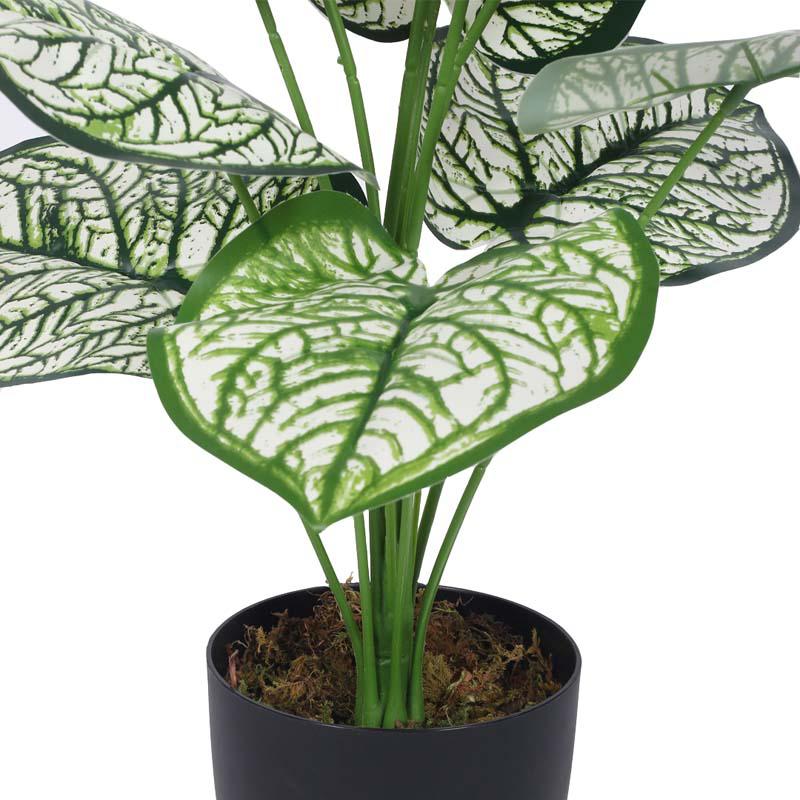 Buy Faux Lush White Dubia Monstera Plant With Pot - 1.8 Feet Artificial Plants from Vaaree