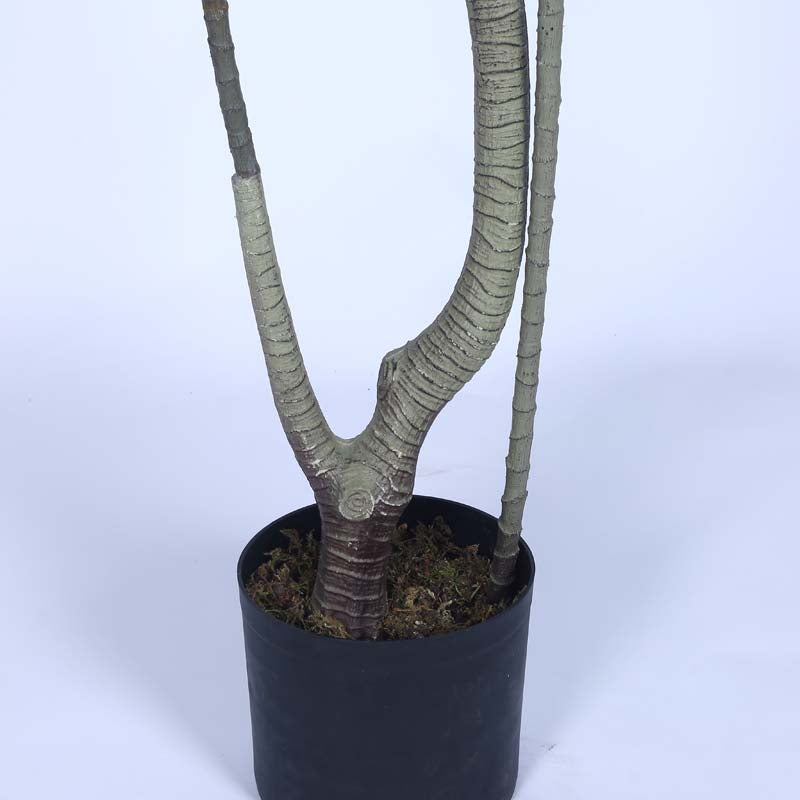 Buy Faux Lush Areca Plam Plant With Pot - 5.6 Feet Artificial Plants from Vaaree