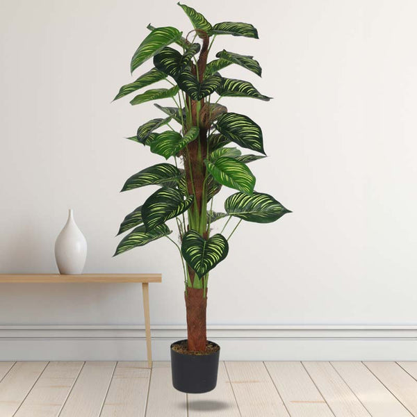 Buy Faux Lush Peperomia Plant With Pot - 4 Feet Artificial Plants from Vaaree