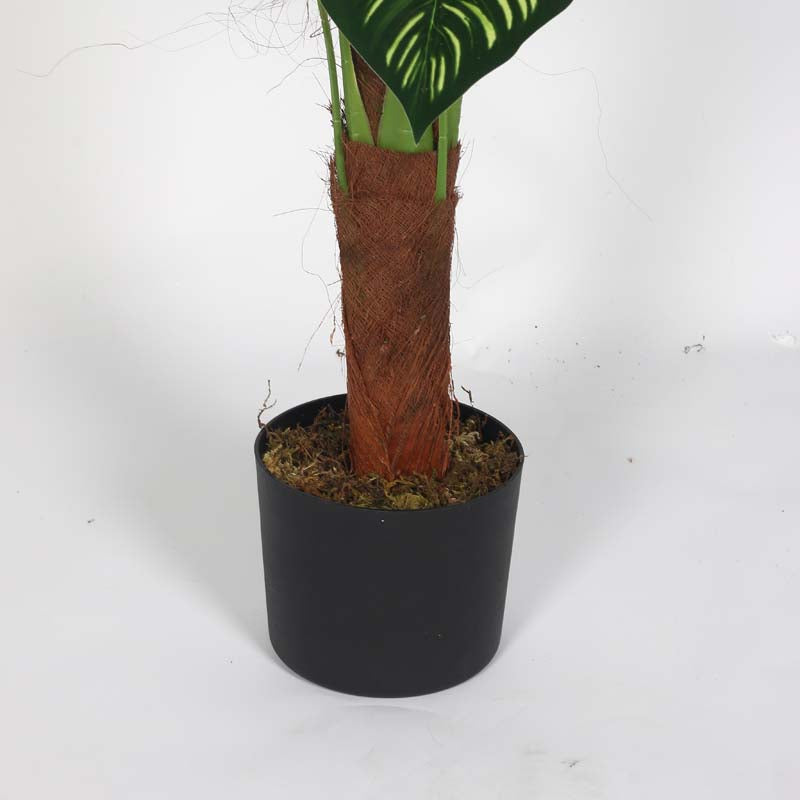 Buy Faux Lush Peperomia Plant With Pot - 4 Feet Artificial Plants from Vaaree