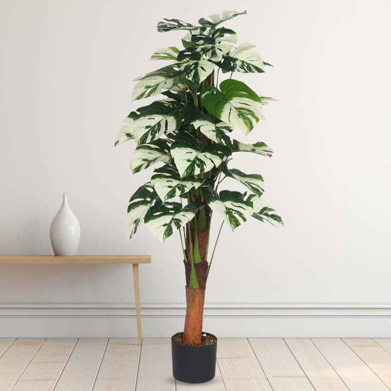 Buy Faux Lush White Monstera Plant With Pot - 4 Feet Artificial Plants from Vaaree