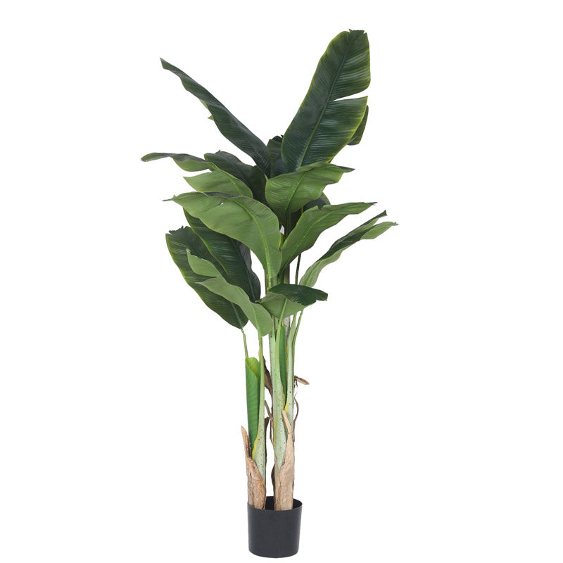 Buy Faux Realtouch Banana Plant With Pot - 5.9 Feet Artificial Plants from Vaaree