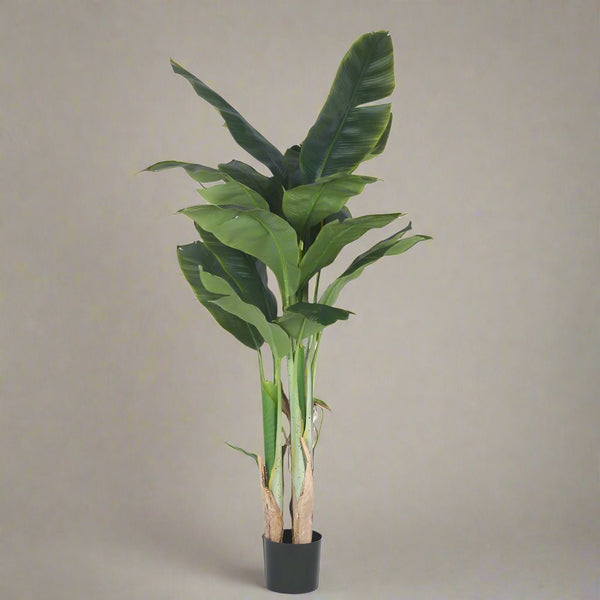 Buy Faux Realtouch Banana Plant With Pot - 5.9 Feet Artificial Plants from Vaaree