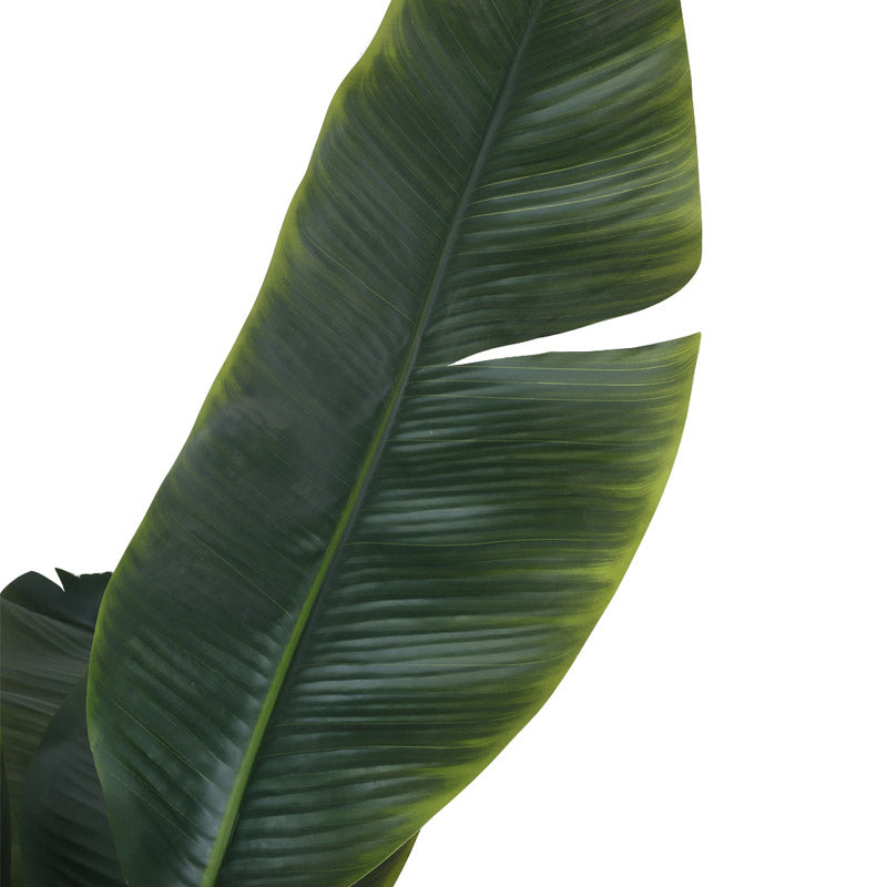 Buy Faux Realtouch Banana Plant With Pot - 5.9 Feet Artificial Plants from Vaaree