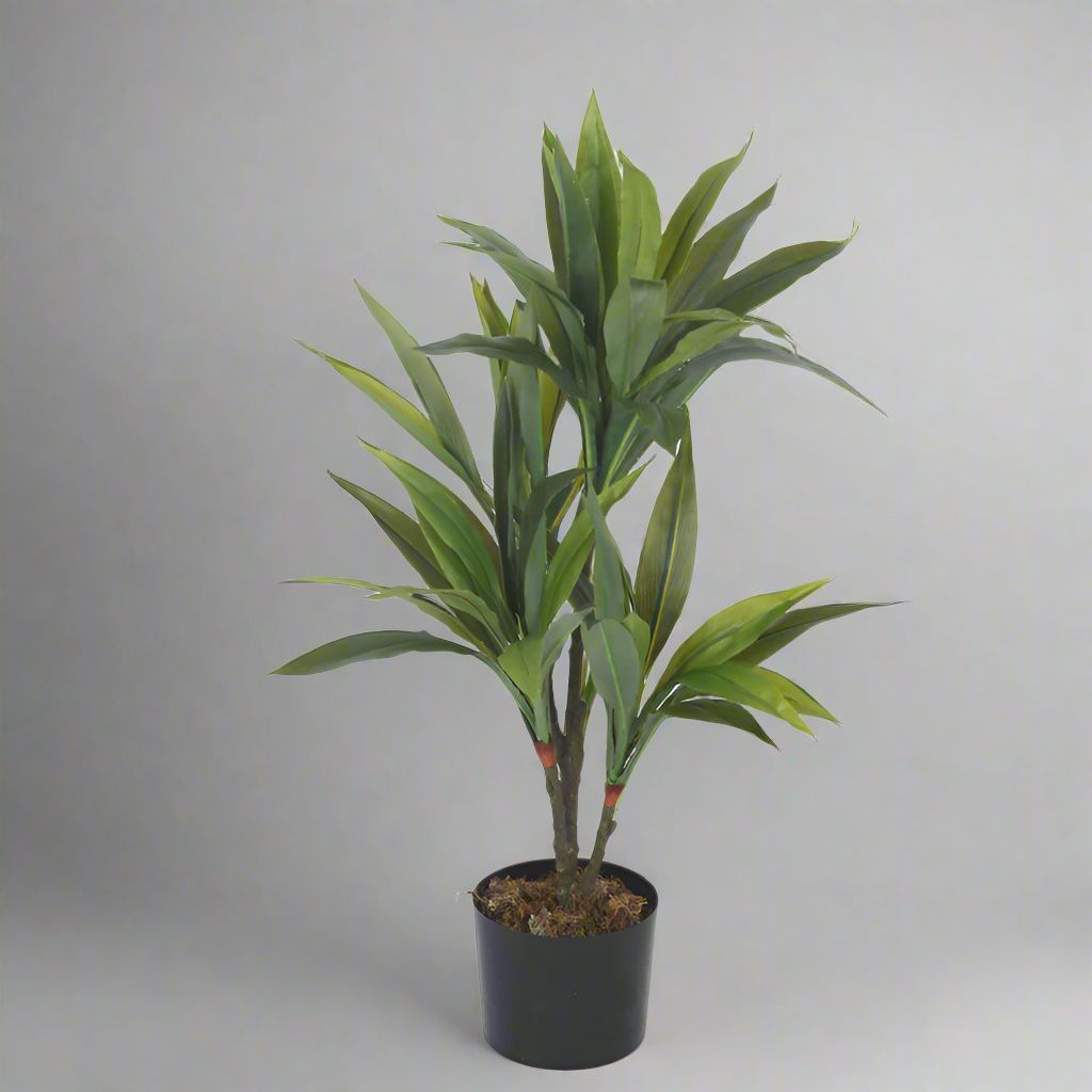 Buy Faux Realtouch Green Dracaena Tree With Pot - 2.5 Feet Artificial Plants from Vaaree