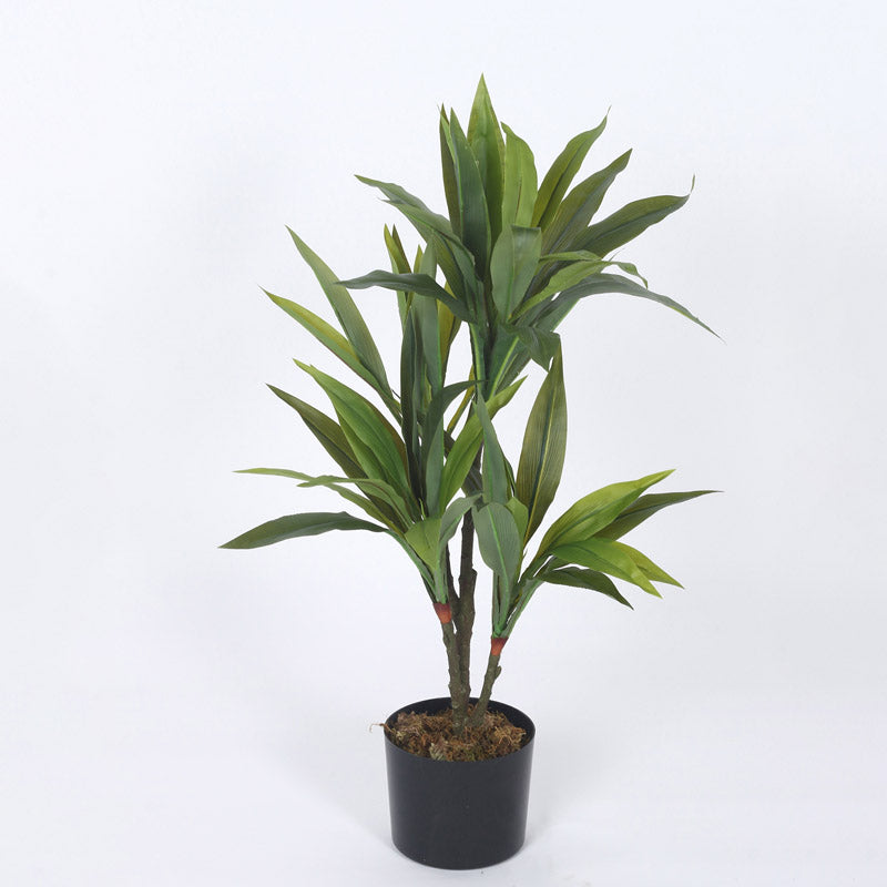 Buy Faux Realtouch Green Dracaena Tree With Pot - 2.5 Feet Artificial Plants from Vaaree