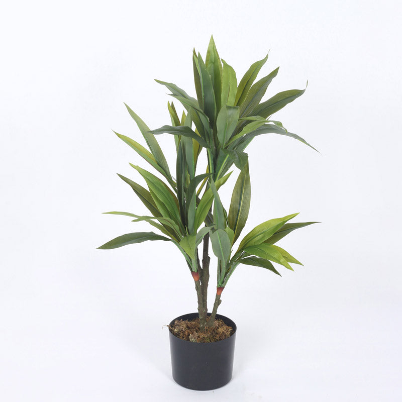 Buy Faux Realtouch Green Dracaena Tree With Pot - 2.5 Feet Artificial Plants from Vaaree