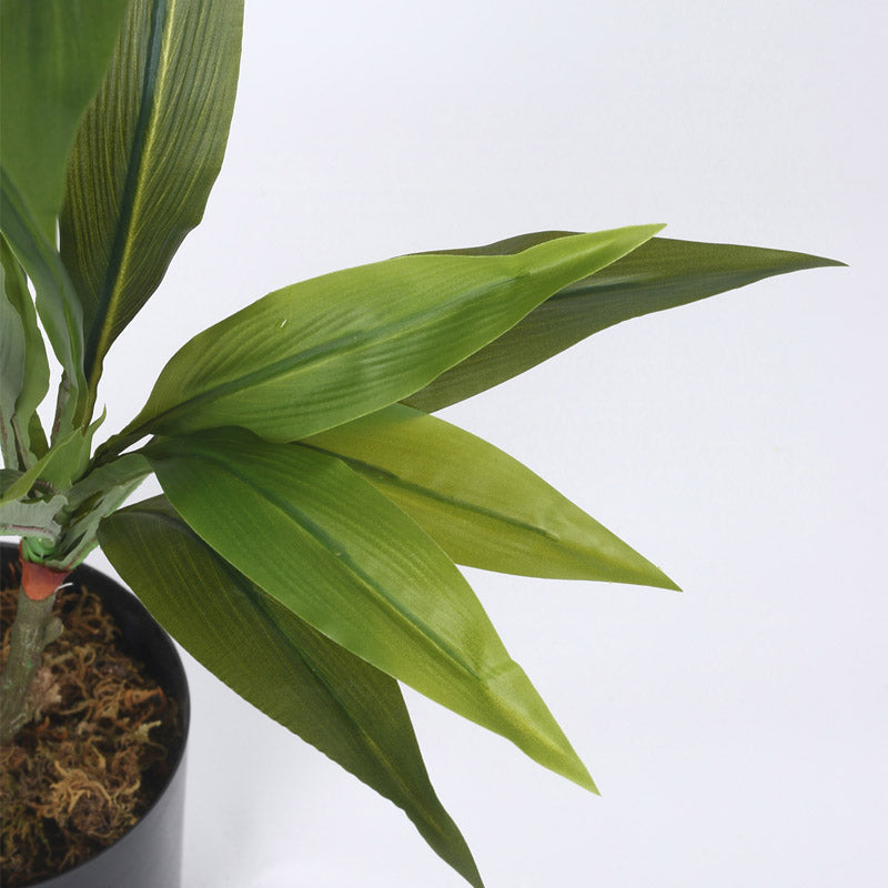 Buy Faux Realtouch Green Dracaena Tree With Pot - 2.5 Feet Artificial Plants from Vaaree