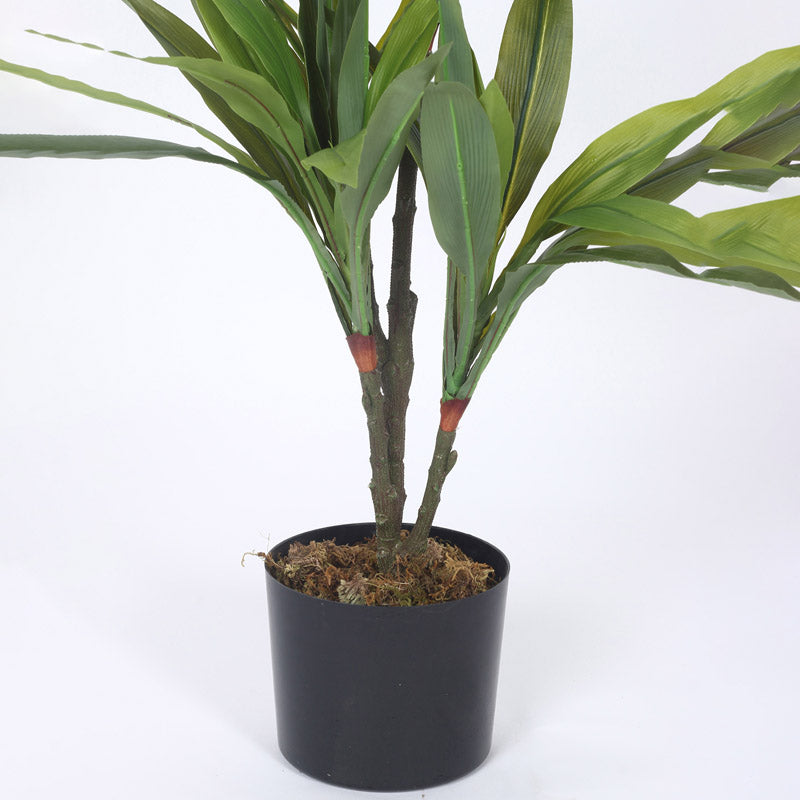 Buy Faux Realtouch Green Dracaena Tree With Pot - 2.5 Feet Artificial Plants from Vaaree