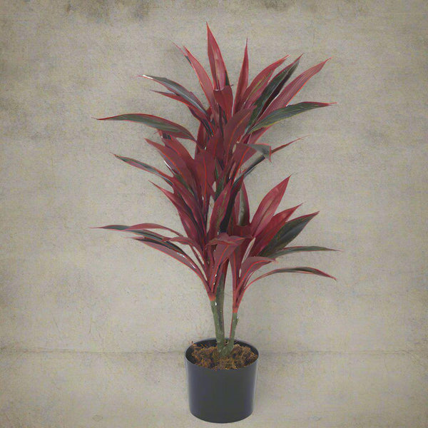 Buy Faux Realtouch Red Dracaena Tree With Pot - 2.5 Feet Artificial Plants from Vaaree