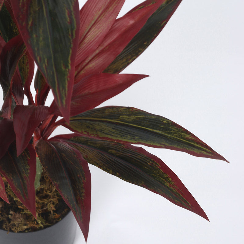 Buy Faux Realtouch Red Dracaena Tree With Pot - 2.5 Feet Artificial Plants from Vaaree