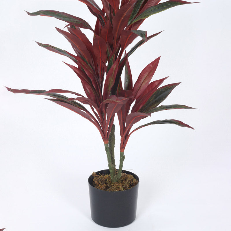 Buy Faux Realtouch Red Dracaena Tree With Pot - 2.5 Feet Artificial Plants from Vaaree