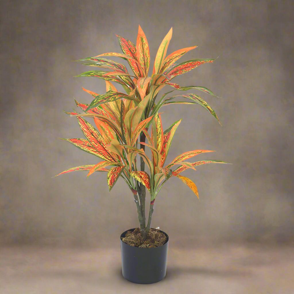 Buy Faux Realtouch Yellow Dracaena Tree With Pot - 2.5 Feet Artificial Plants from Vaaree