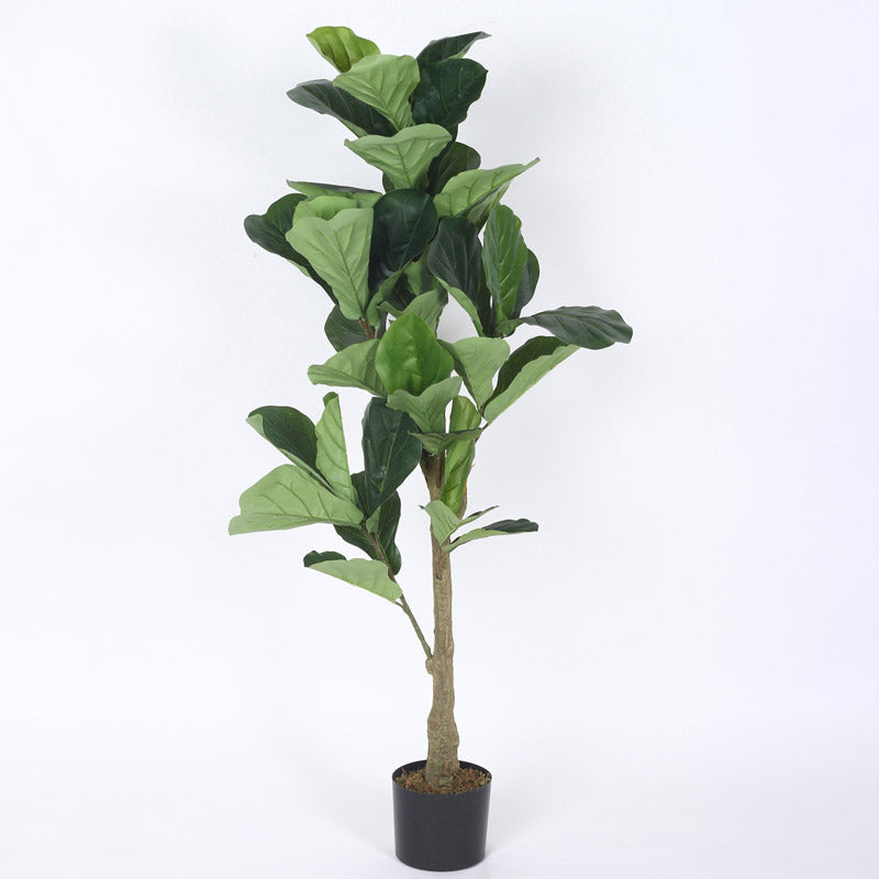 Buy Faux Realtouch Green Fiddle Leaf Fig Tree With Pot - 3.9 Feet Artificial Plants from Vaaree