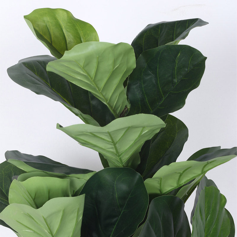 Buy Faux Realtouch Green Fiddle Leaf Fig Tree With Pot - 3.9 Feet Artificial Plants from Vaaree