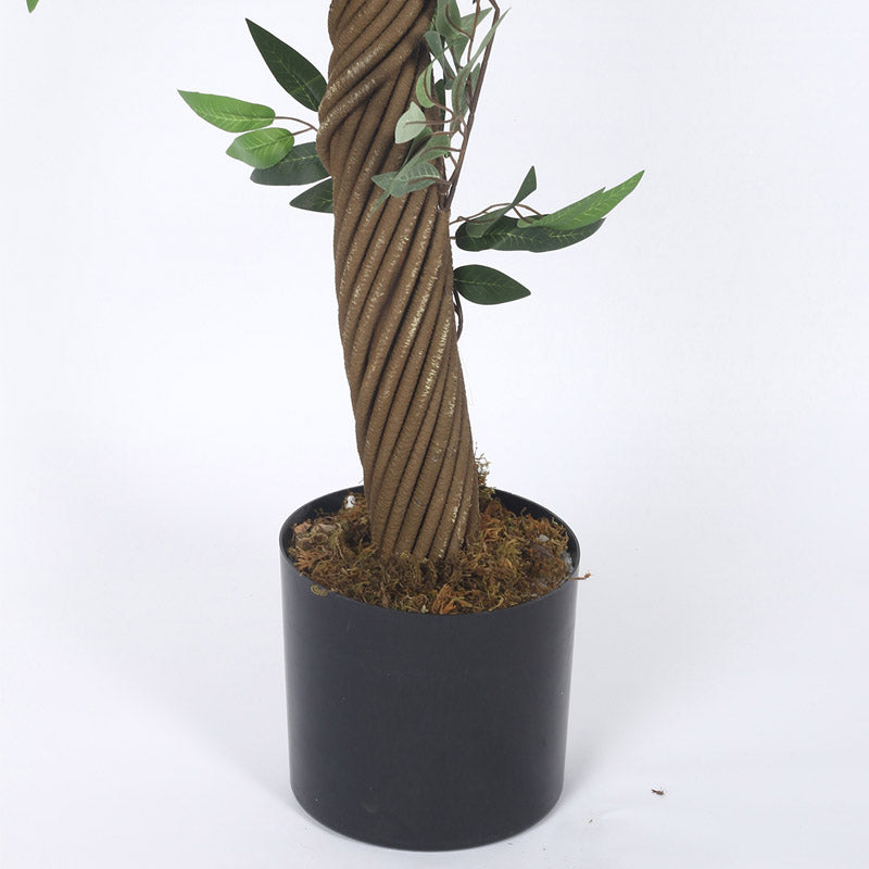 Buy Faux Realtouch Green Eucalyptus Tree With Pot - 5.9 Feet Artificial Plants from Vaaree