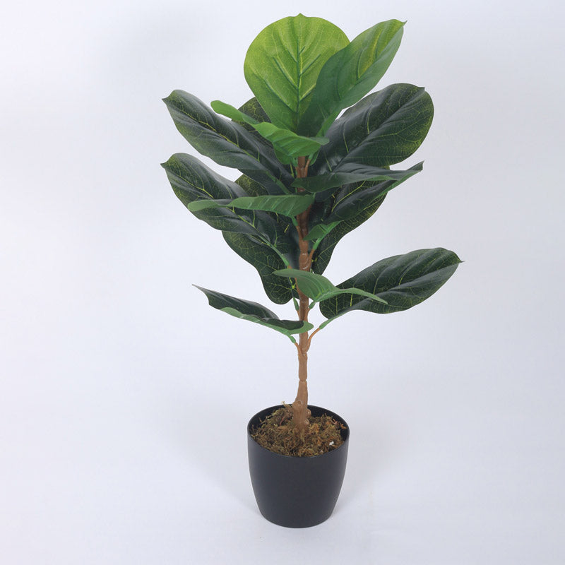 Buy Faux Realtouch Green Fiddle Leaf Fig Tree With Pot - 2.5 Feet Artificial Plants from Vaaree