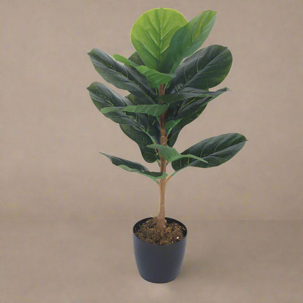 Buy Faux Realtouch Green Fiddle Leaf Fig Tree With Pot - 2.5 Feet Artificial Plants from Vaaree